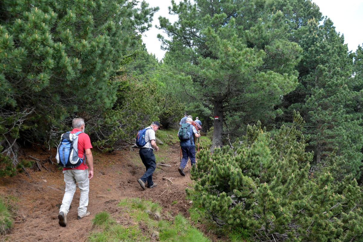 Rittner Horn 09.06.2018